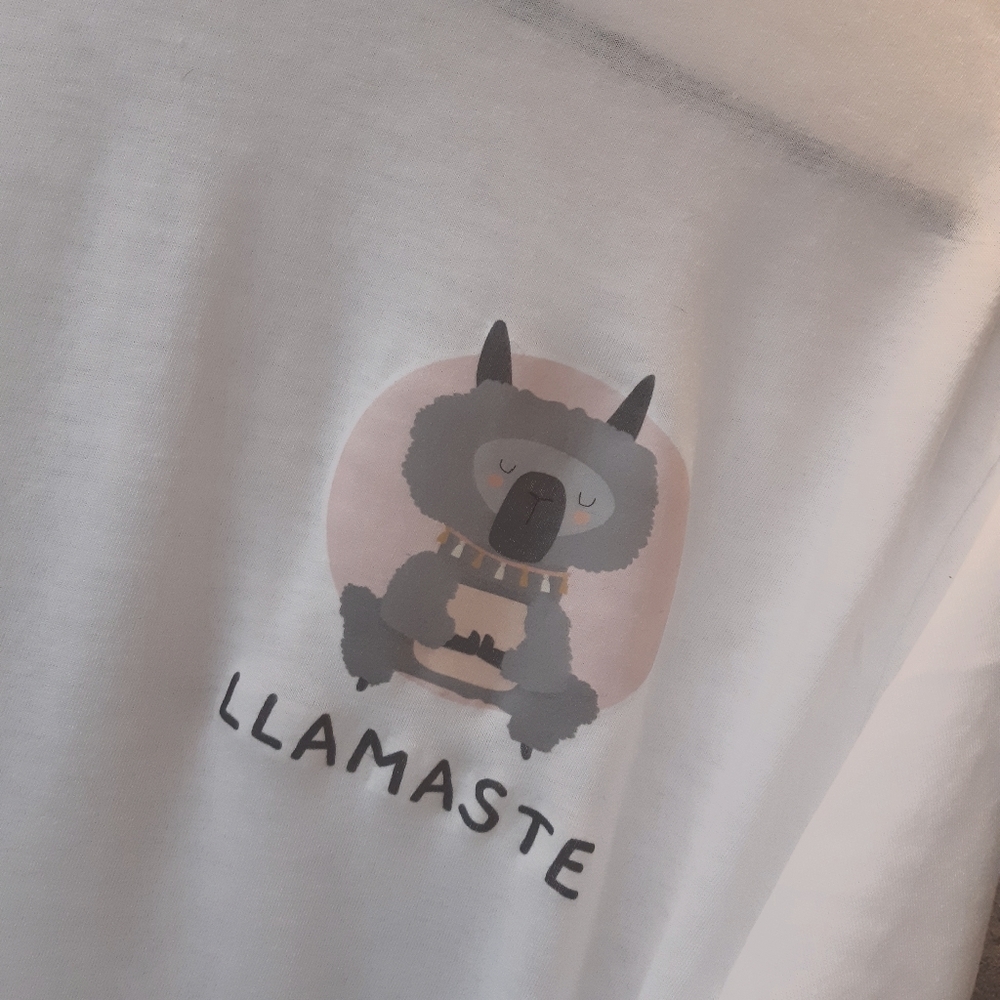 Bella Canvas Custom Printed Llamaste Tshirt